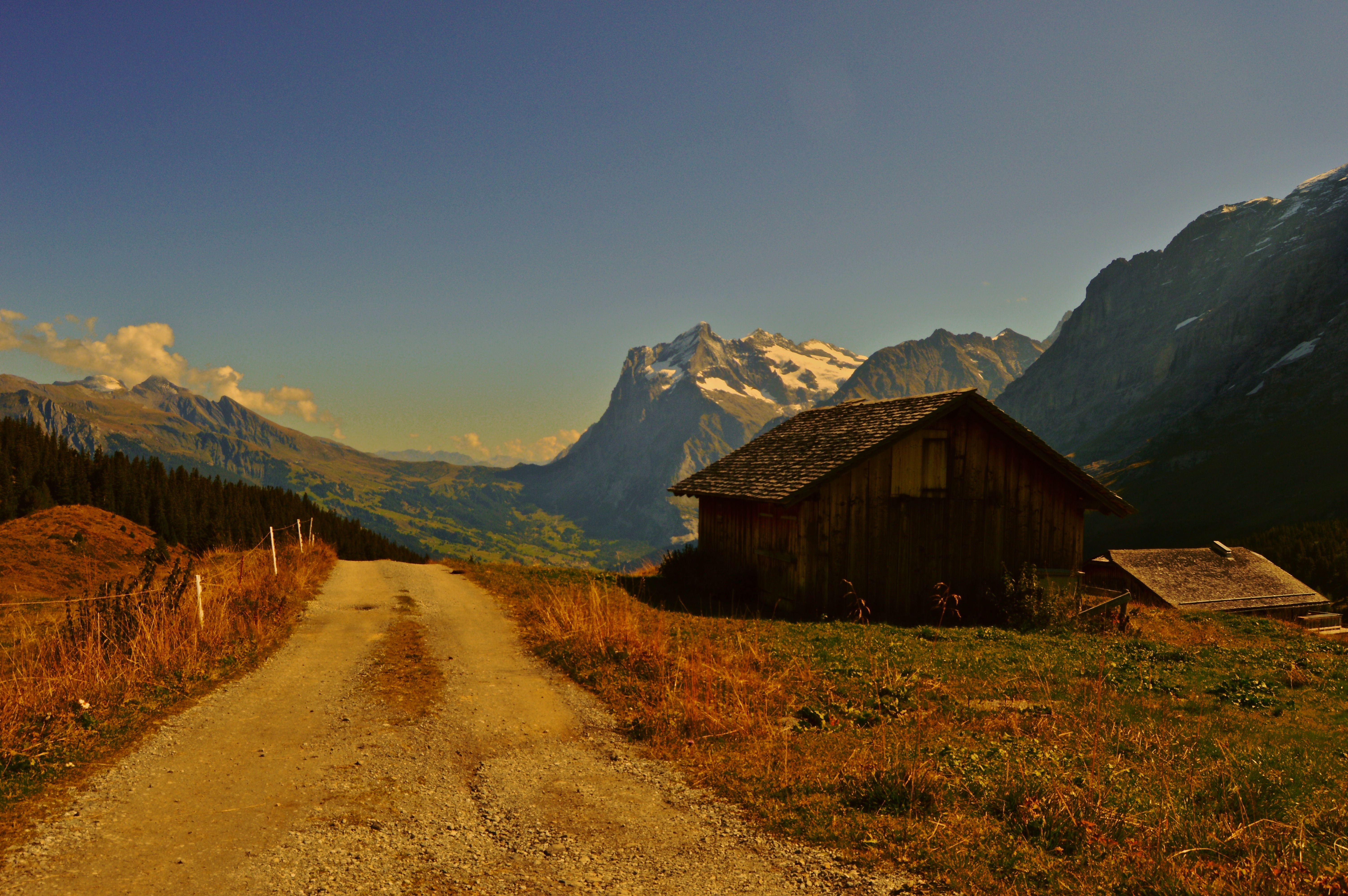 Swiss Alps: A Photo Gallery